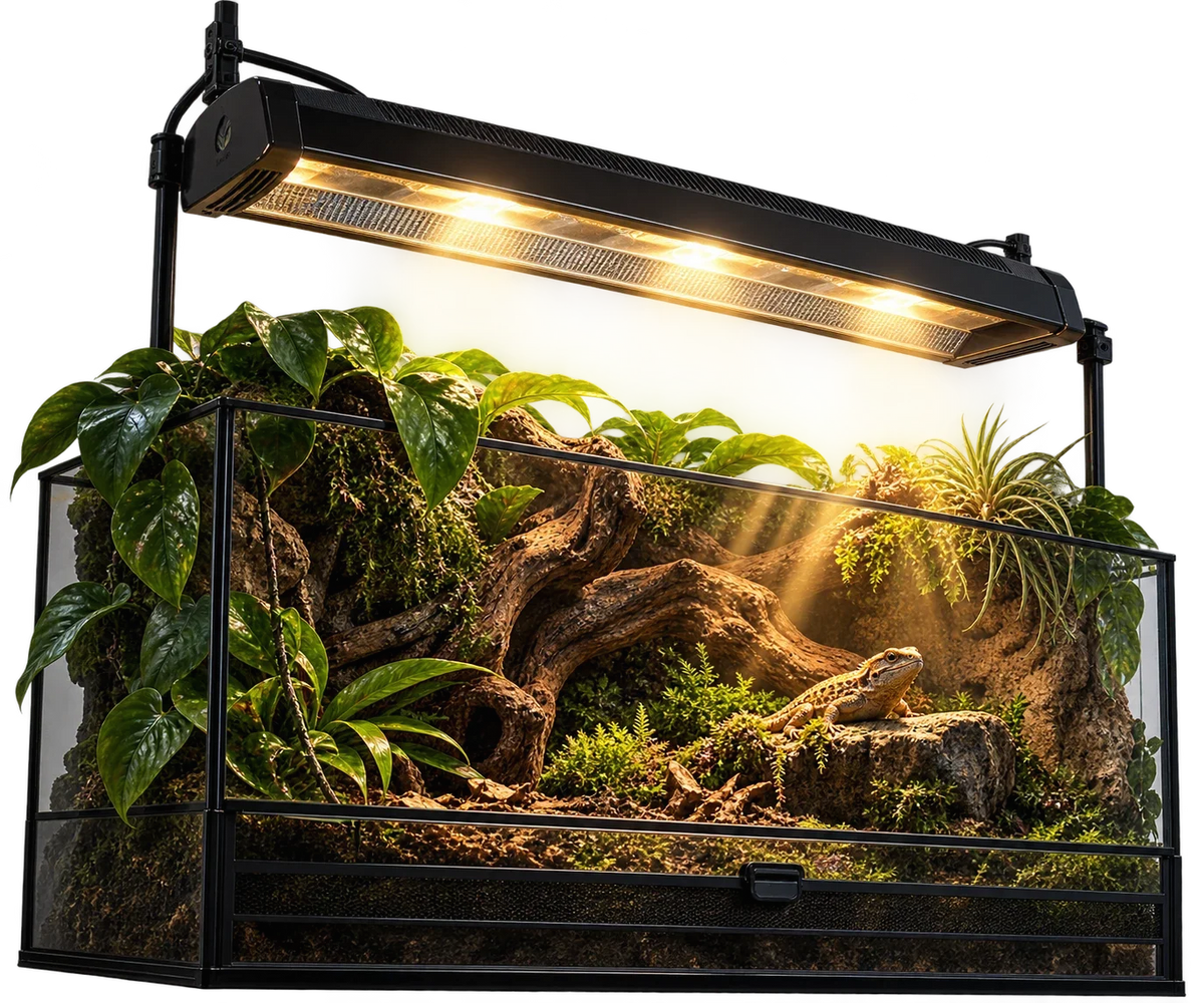 Beleuchtetes Regenwaldterrarium mit Aufsatzleuchte und Bartagame