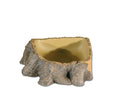 Trinkschale Stump 2 22 x 20 x 6 cm HOBBY