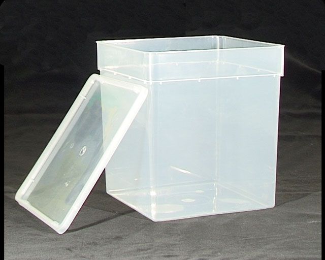 Braplast Aufzucht-Box transp. 185x185x190mm/ 5,8l