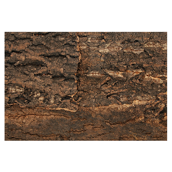 Natural Cork Background (Kork-Rückwand) 28,5 X 28,2