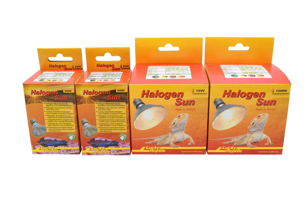 Halogen Sun 50 W 
Halogenstrahler für E27 Fassungen