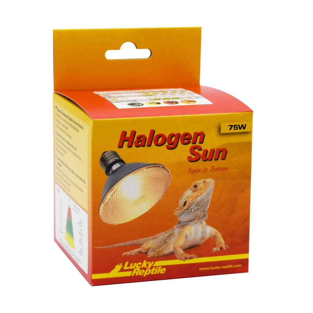 Halogen Sun 75 W 
Halogenstrahler für E27 Fassungen