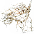 Outback Bush ghost - 4Stk
