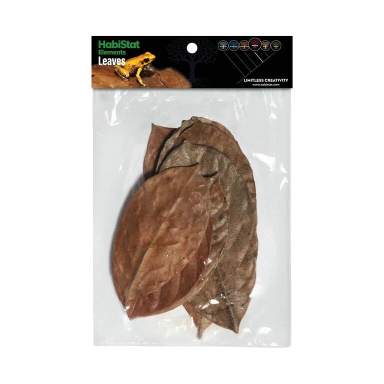 Jackfruit Leaves, 10er Pack