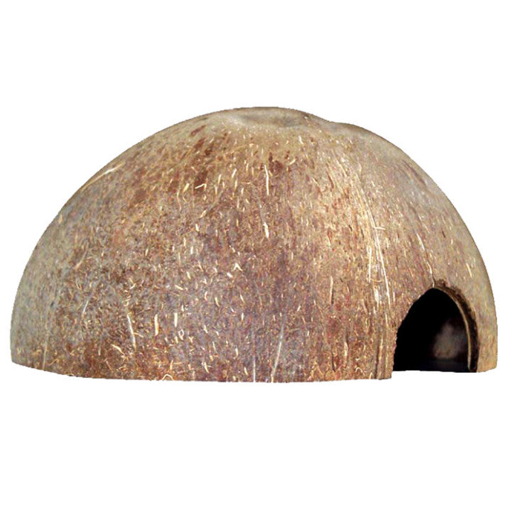 Kokosnusshalbschale Small