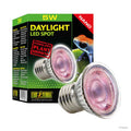 Daylight LED Spot NANO 5W