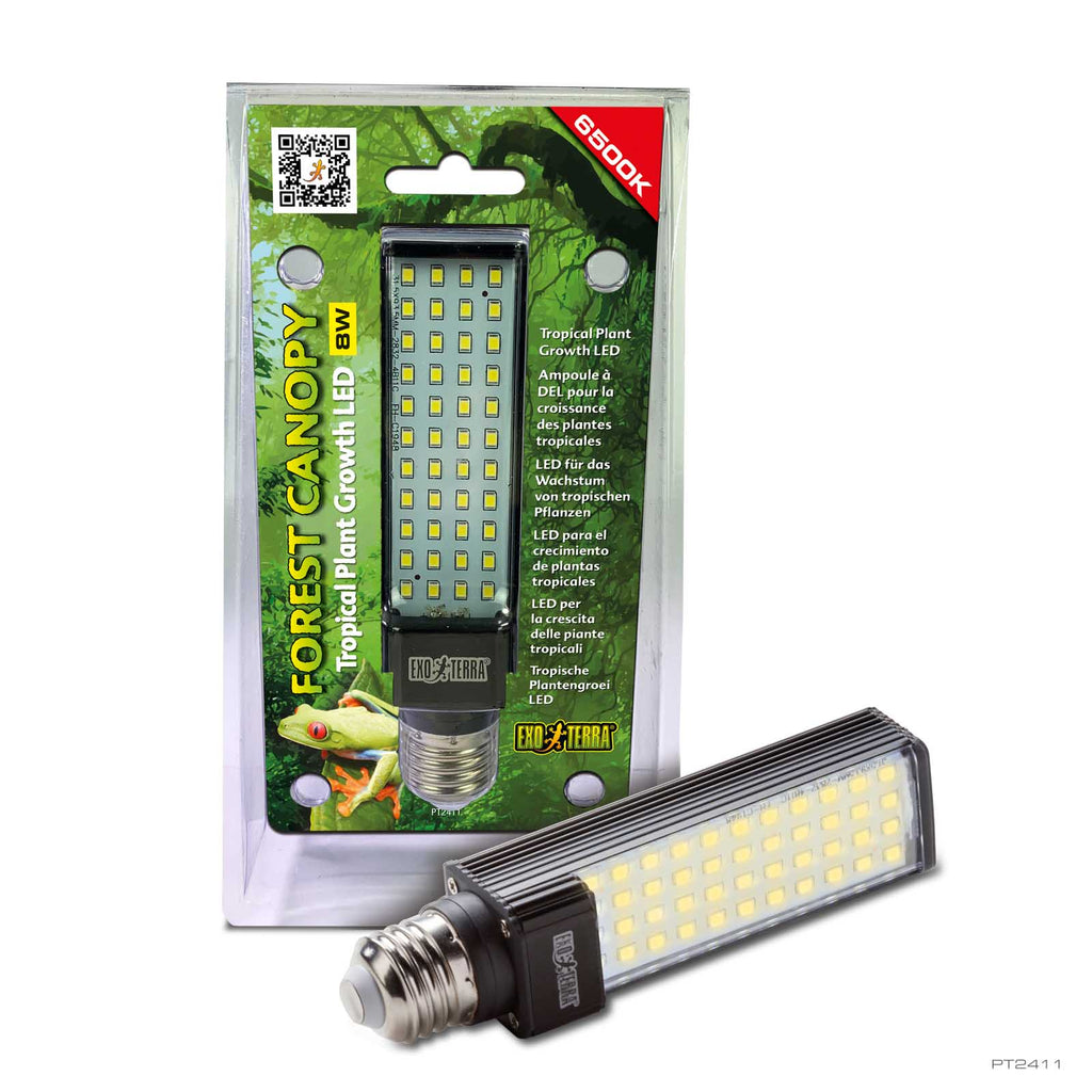Forest Canopy
Led