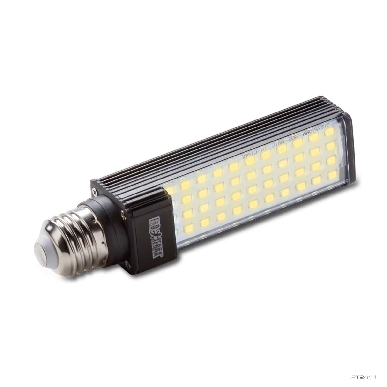 Forest Canopy
Led