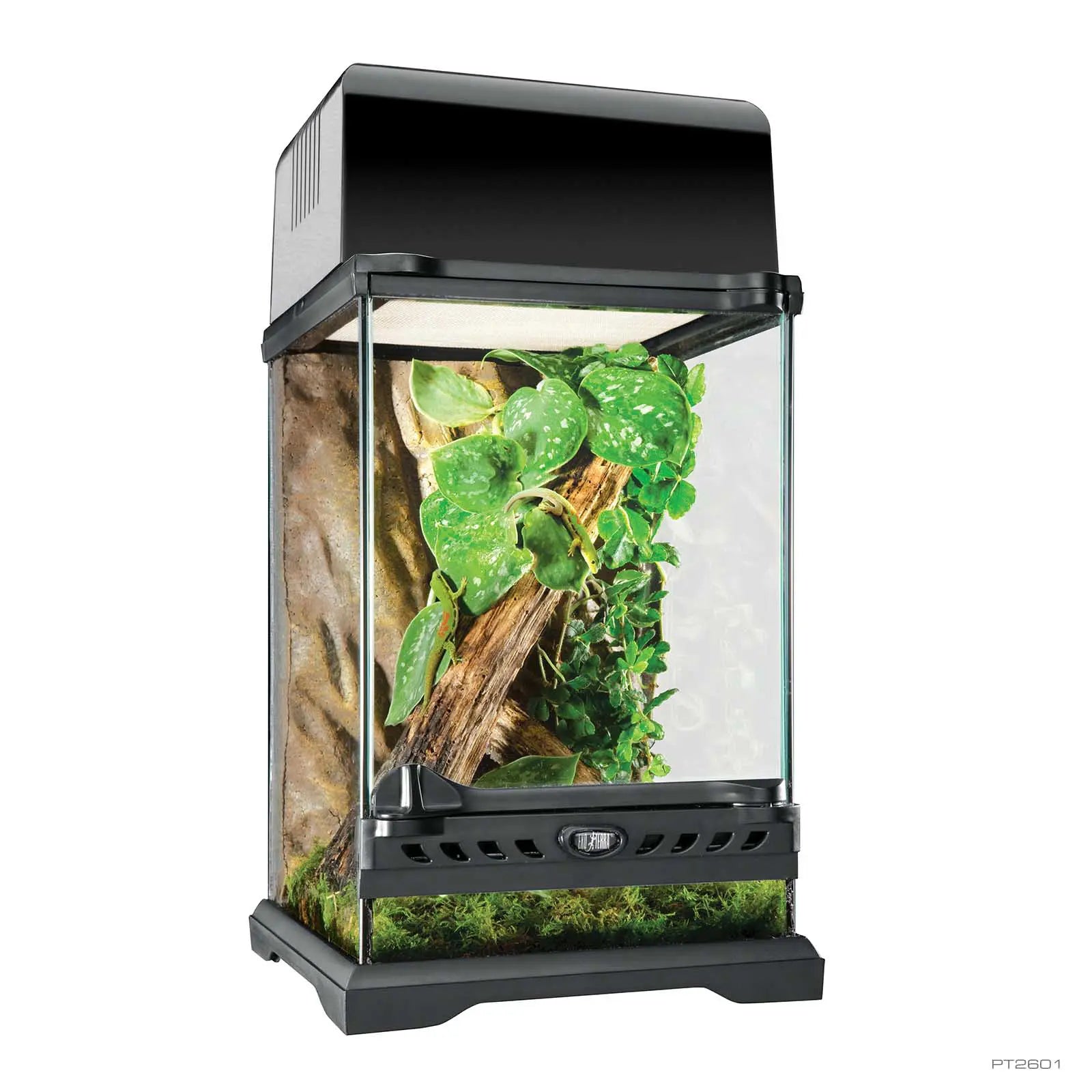Exo Terra 20X20X30 Natural Terrarium Nano Tall