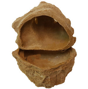 Dragon Wet-Box Small Sand Stone 17x14x15cm